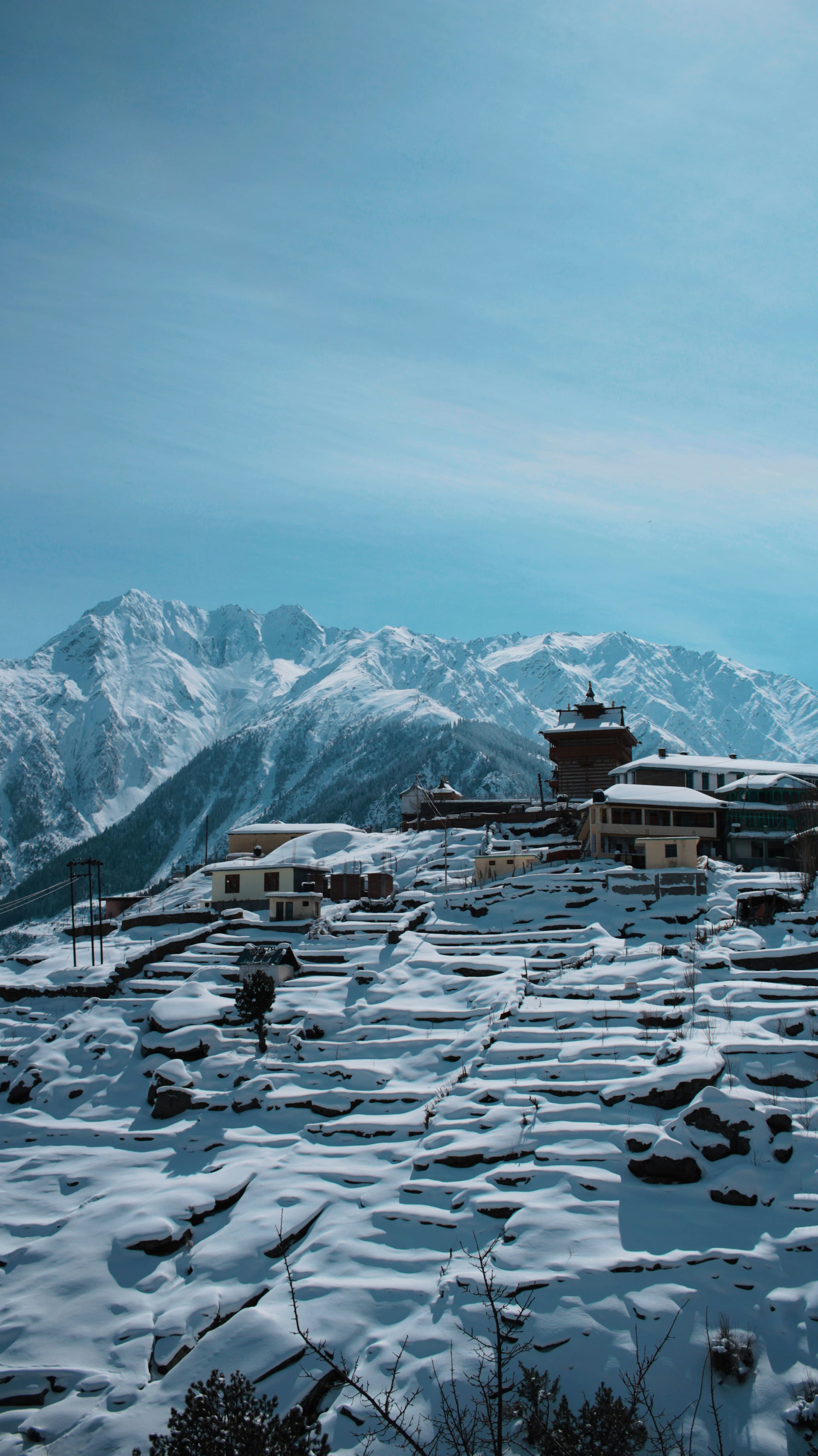 Kalpa β Shimla β Delhi